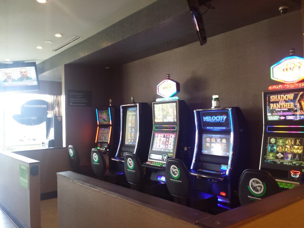 Wyndham Garden Elk Grove Village - O'Hare Екстер'єр фото